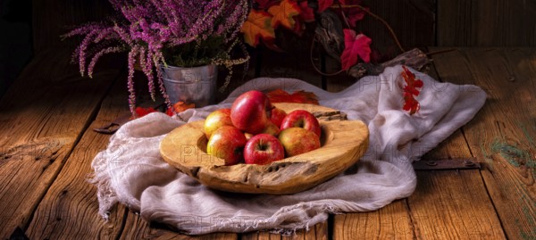 Malus sylvestris, der leckere europäische Krabbenapfel