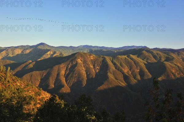 Picturesque mountains in national park. The bird's flight above pass Tioga in the early morning, on sunrise