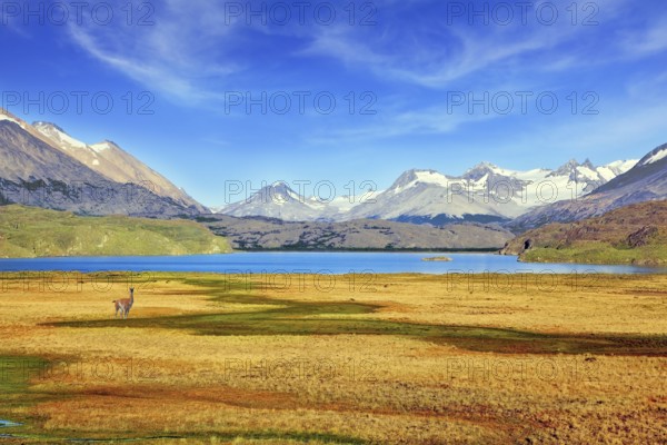 A blue lake in a picturesque valley surrounded by snow-capped mountains. National Park Perito Moreno in Patagonia, Argentina
