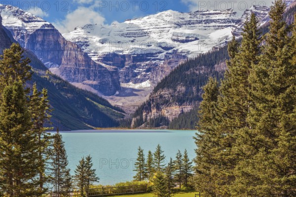 Banff National Park, Rocky Mountains, Canada. Emerald Lake is surrounded by mountains, glaciers and pine forests. Flowers on the embankment of glacial Lake Louise