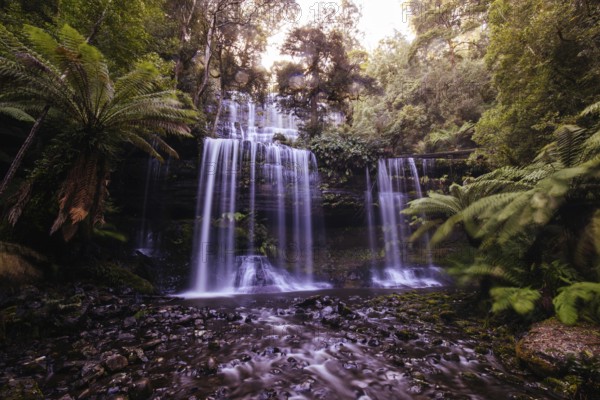 The majestic Russell Falls in Mt Field National Park on a cold spring afternoon in Tasmania, Australia