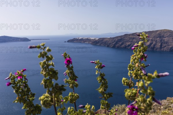 The village of Oia on the Caldera, Santorini Island, Greece