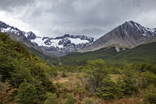 Mountain landscape with glacier and dense forest under a cloudy sky, The jungle of Tierra del Fuego near Ushuaia in Argentina