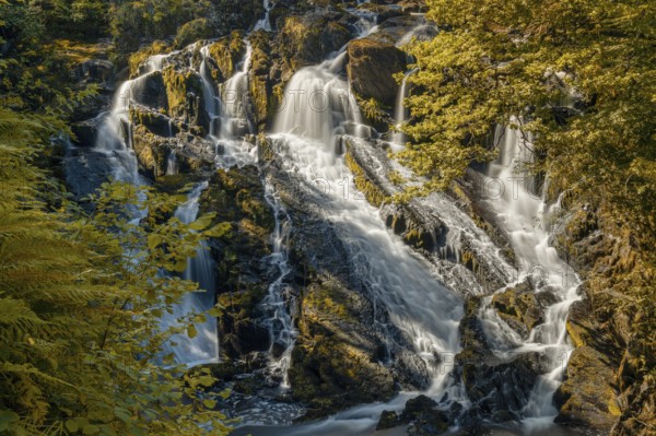 A view of the Swallow Falls waterfall in Anglesey in northern Wales surrounded by lush green summer vegetation