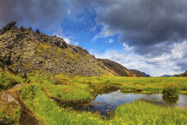 The picturesque valley in Landmannalaugar national park. Green grass among the thermal springs. Summer in Iceland