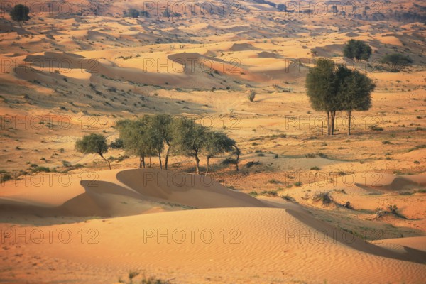 Rub al Khali Desert (Rub al Khali), Ras al Khaimah (Ra's al-Chaima), United Arab Emirates