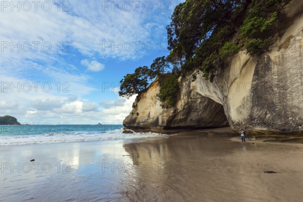 Woman takes pictures of magnificent landscape. Ocean tide in the Cathedral Cove. Mirror reflections of clouds in wet sand. Travel to New Zealand. The concept of exotic, ecological and photo tourism