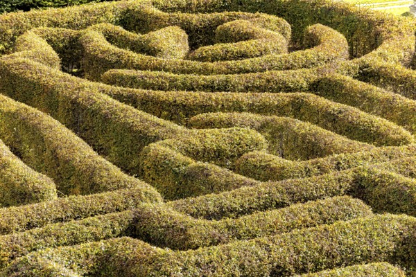 Labyrinth in a botanical garden in Poland