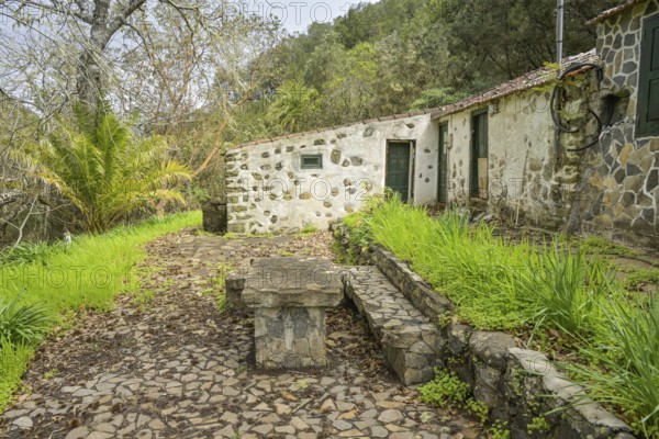 Old country house in the laurel forest in Garajonay National Park, forest near El Cedro, La Gomera, Spain