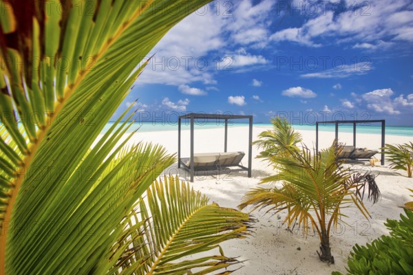 Idyllic Beach with Palm Treesat the Maldives, Indian Ocean, Asia