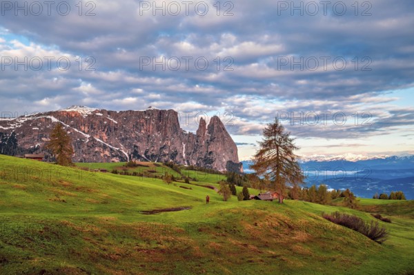 Panoramic view of Mount Sciliar on the Seiser Alm in the Dolomites in South Tyrol, Italy