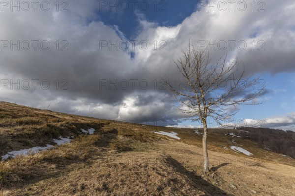 Summits of the Vosges landscape in Winters. France