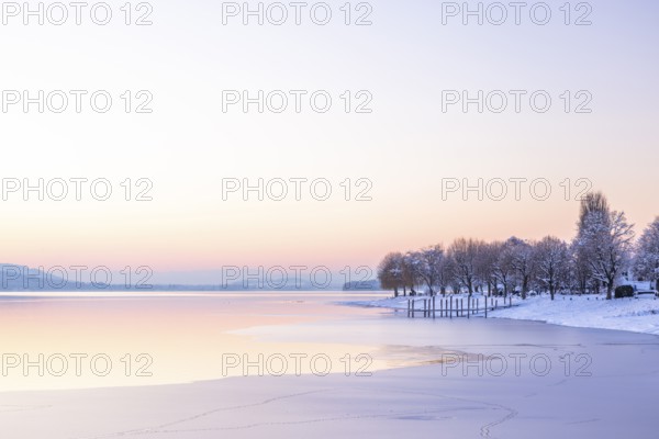 Winter landscape with snow-covered trees and frozen lake at dusk, Seegarten, Allensbach, Lake Constance, Baden-Württemberg, Germany