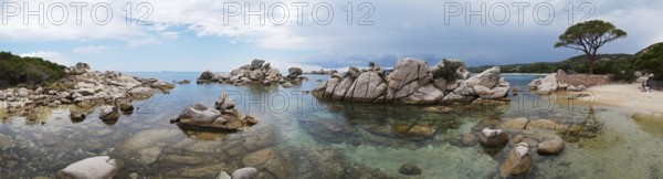 Pine tree and rock formations, Palombaggia, Tamaricciu, Corsica