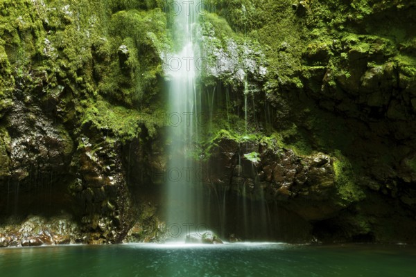 Caldeirao verde waterfall, Santana, Madeira, Portugal