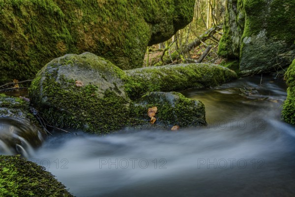 Moss-covered rocks surround a flowing stream in the forest, Höllbachtal, Upper Palatinate