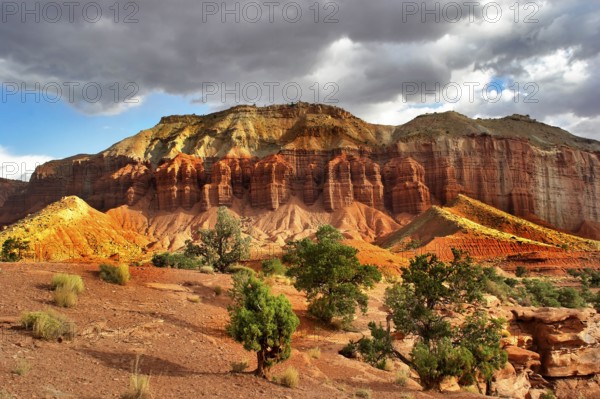 The well-known canyon of red rocks, clouds and a tree