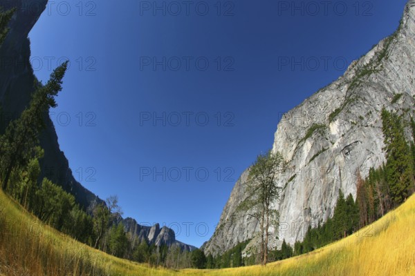 Magnificent glade with a yellow grass in valley Yosemite park, photographed by an lens Fish eye