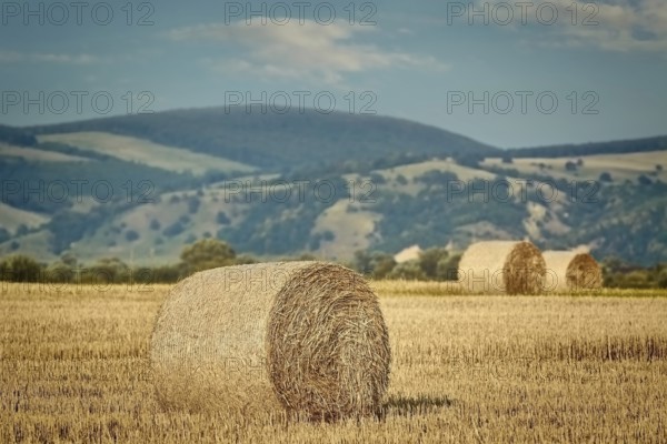 Rural landscape with haystacks in the field Romania
