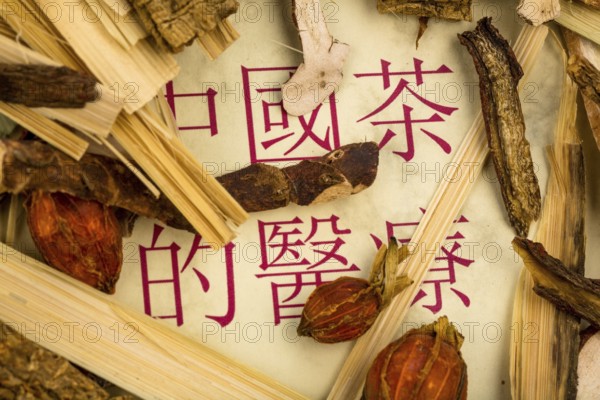Ingredients for a tea in traditional Chinese medicine. Healing diseases through alternative methods. Austria