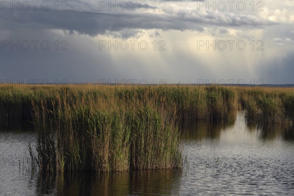 Lake Neusiedl National Park, rain front