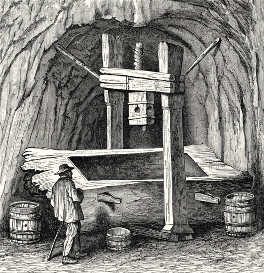 Historical illustration, press carved out of a tree trunk, 18th century