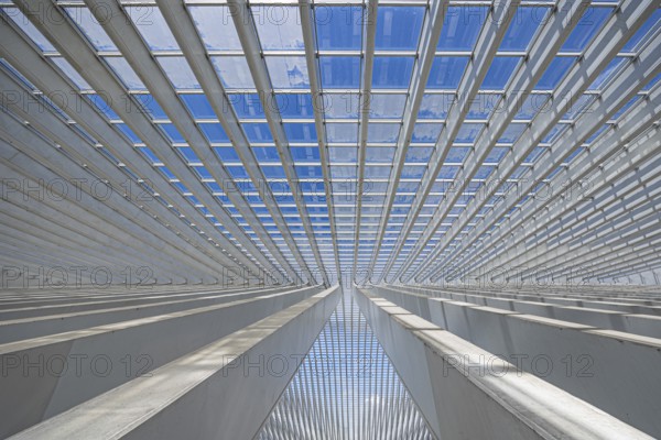 Symmetrical detail of a modern glass roof in an urban environment, railway station, Liège, Wallonia region, Belgium