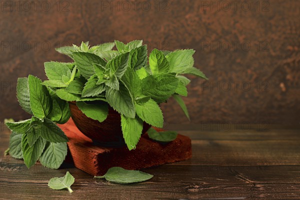Floral composition of wild medicinal herbs, peppermint in a cup with lemon on a wooden table, collection of useful herbs for treatment according to folk recipes, advertising for a green pharmacy, alternative medicine concept