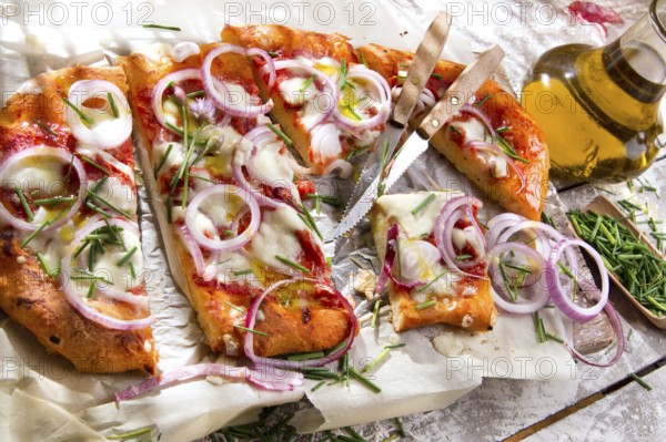 Freshly baked pizza with red onion and mozzarella