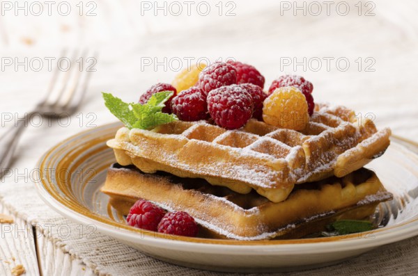 Belgian waffles served with raspberries and mint leaf dusted with powdered sugar on white wooden kitchen table