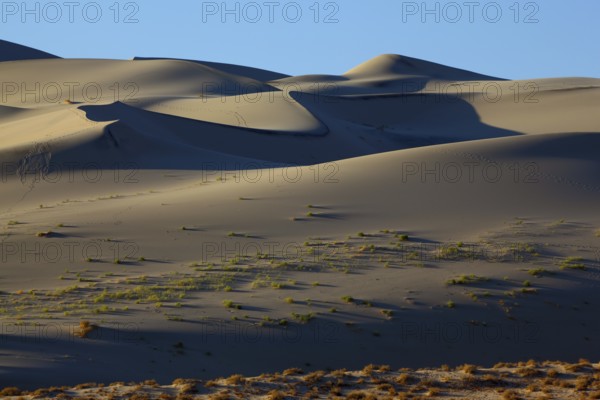 Chain of traces on sand of a mysterious sandy dune Eureka