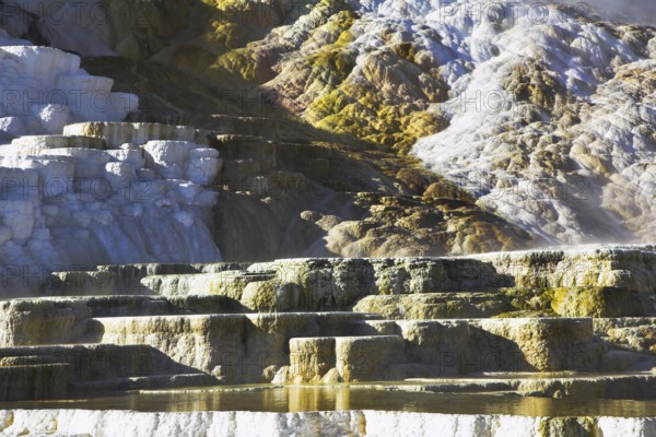 Picturesque Minerva Terrace in Yellowstone national park in the USA