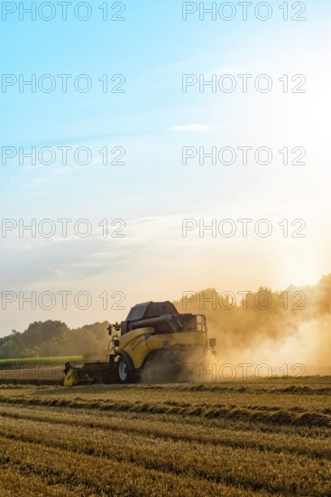 Big combine harvester threshing in the sunset