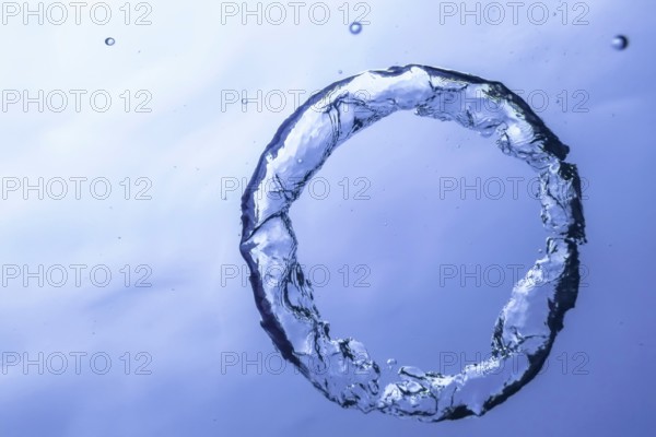 Underwater Bubble Ring Ascends towards the Sun