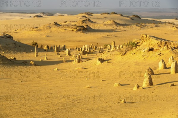 An image of the beautiful Pinnacles Desert in western Australia