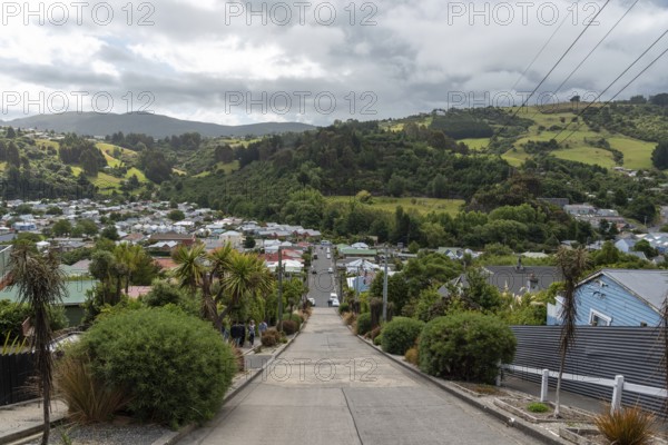 Famous Baldwin street in Dunedin, the steepest street in the world, South Island of New Zealand