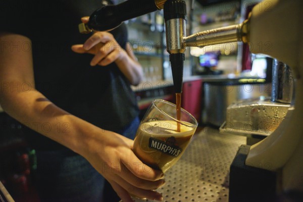 Drinking black beer, the Akahista bar, -Tin Pub -, Ahakista, Sheep's Head Peninsula, County Cork, Ireland, United Kingdom