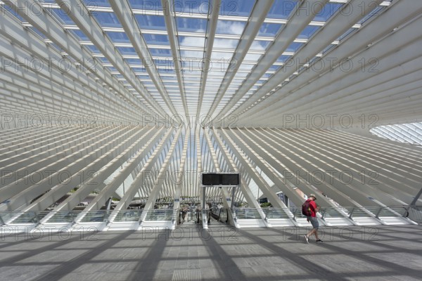 Liège-Guillemins train station by architect Santiago Calatrava, Liege, Belgium