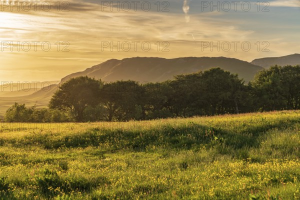 Evening light over the Yorkshire Dales near Settle, North Yorkshire, England, UK