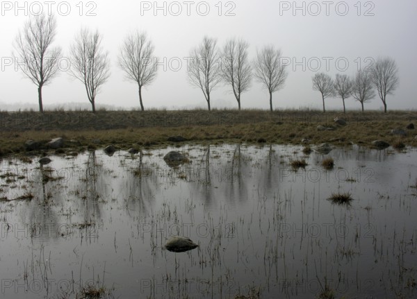 Foggy weather on the German island of Fehmarn