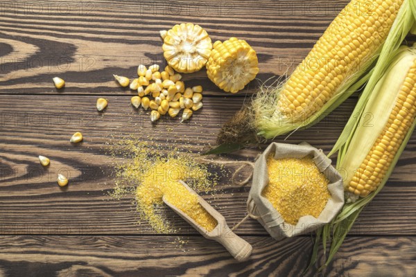 Fresh corn on cobs on rustic wooden table, top view. Dark wooden background freshly harvested organic corn. Corn grits in cloth sack