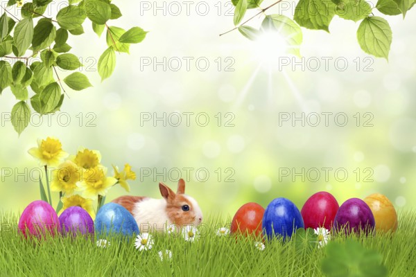 Easter 149