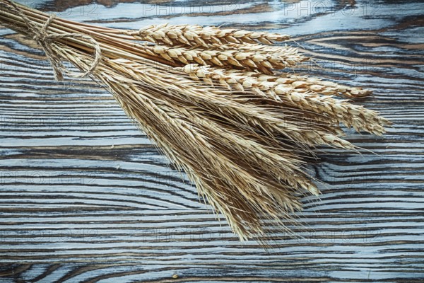 Bunch of rye ears on vintage wooden board