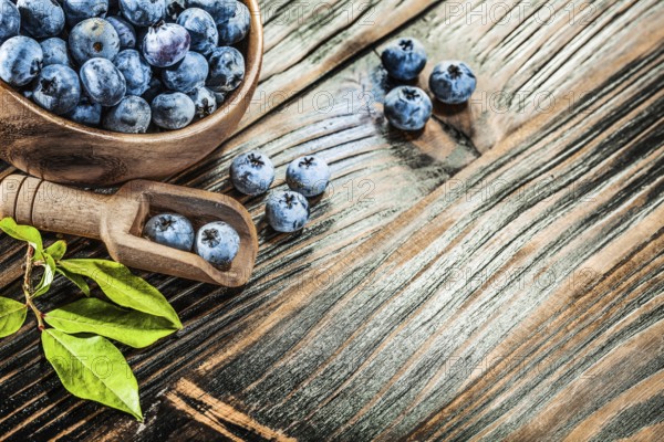 Ripe huckleberries in wooden spoon bowl