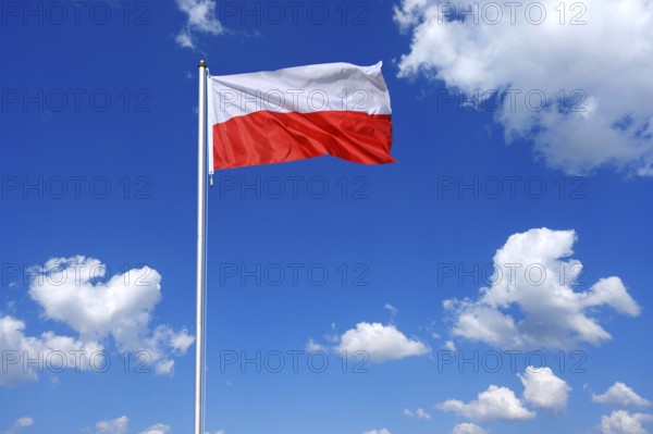 The flag of Poland flutters in the wind in a blue sky with white clouds