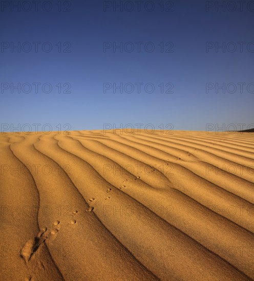 Footprint on sand dune in desert at evening