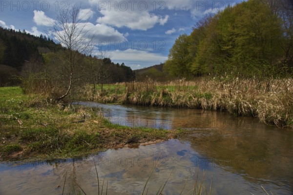 NSG Hafenlohrtal, Spessart
