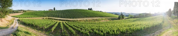 Vineyards in Tuscany. Farm house.Panoramic view