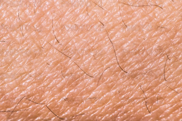 Texture of human skin. Extreme close up macro shot