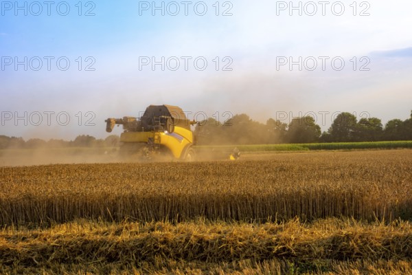 Big combine harvester threshing in the sunset